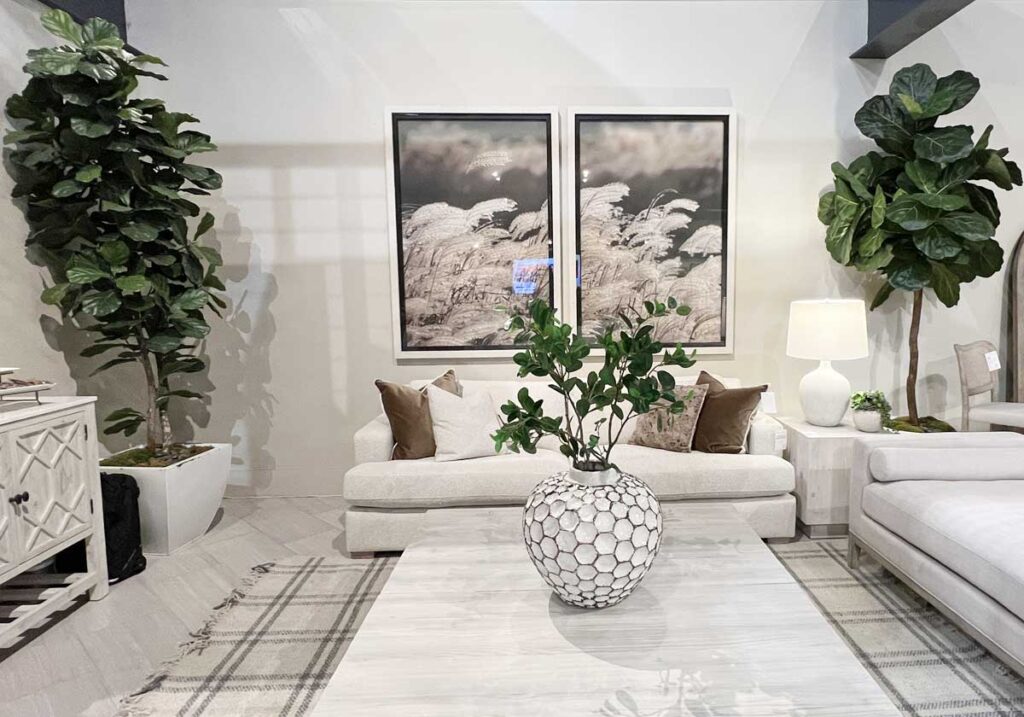 plants in living room affordable decor items